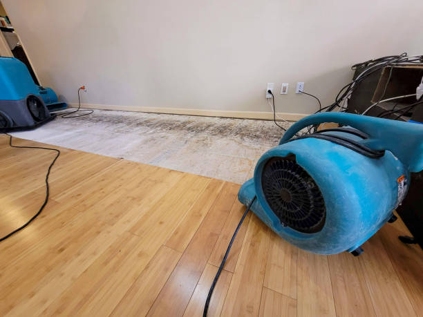 Professional Ceiling Water Damage Repair technician working in Prairie Home, MO